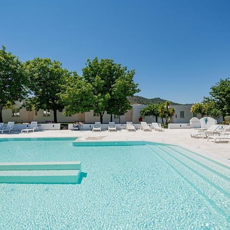 סאן תאודורו Hotel Le Mimose מראה חיצוני תמונה